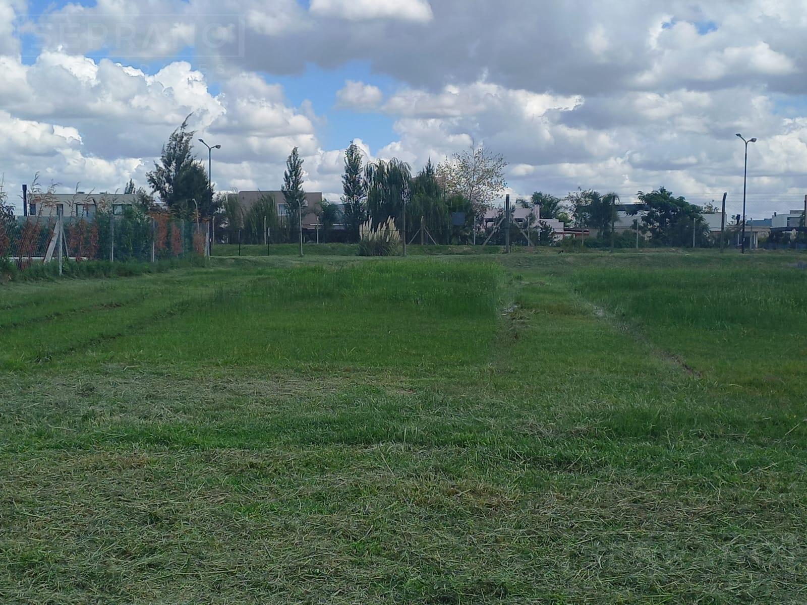 image 35