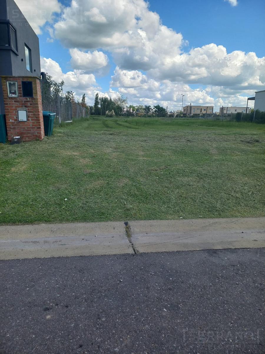 image 36