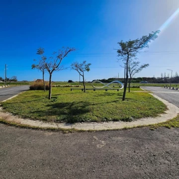 1788185557.jpg
