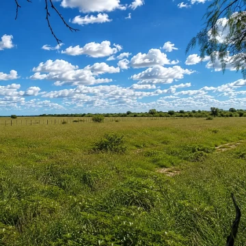VENTA. CAMPO 876 has MIXTO. SERREZUELA (CÓRDOBA)