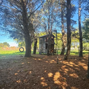 CASA ENTRE PINOS A 500 M DEL MAR | 3 DORM. | LOTE 1.000 M²