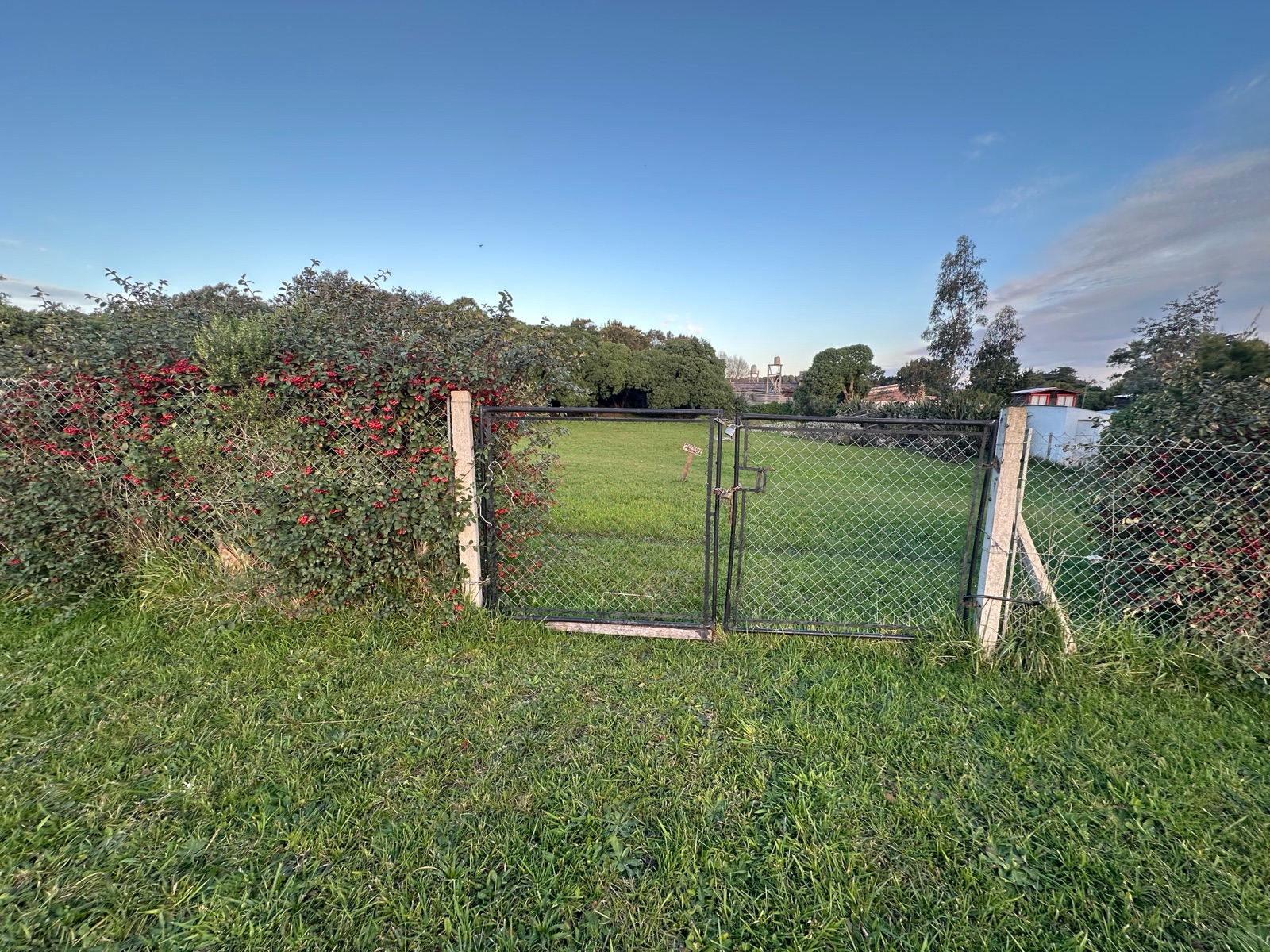 image 13