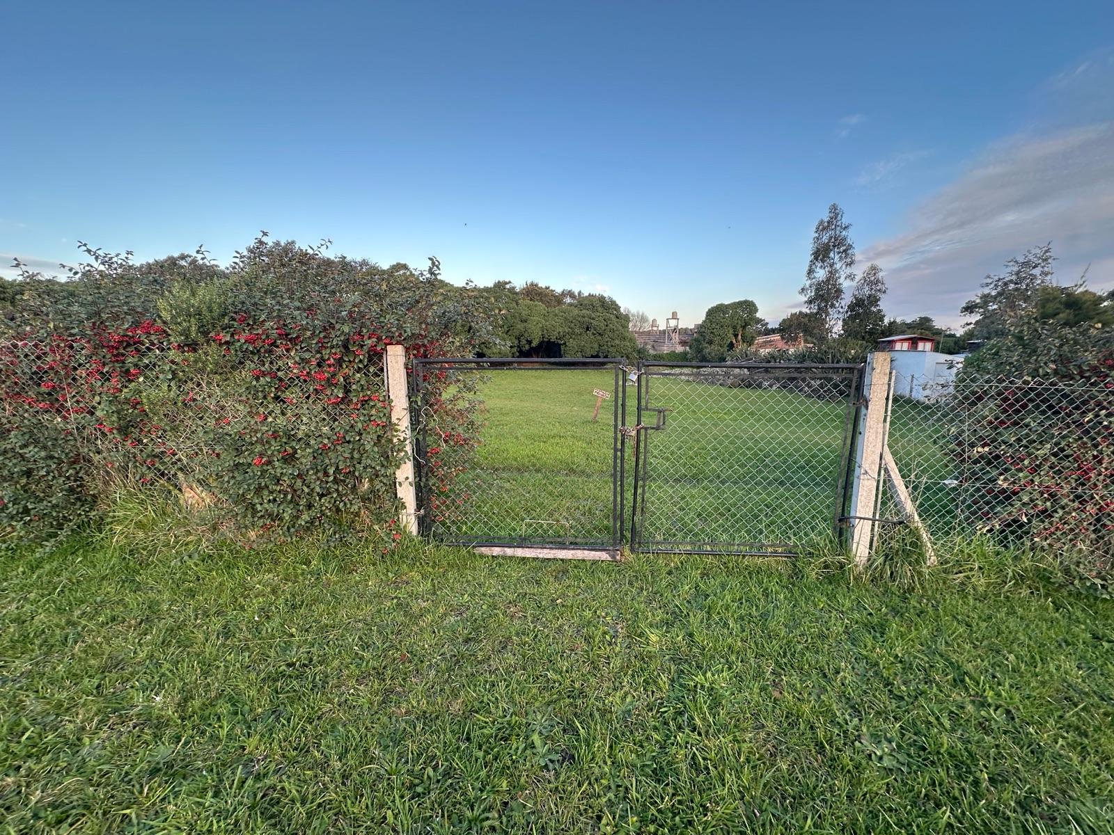 image 15