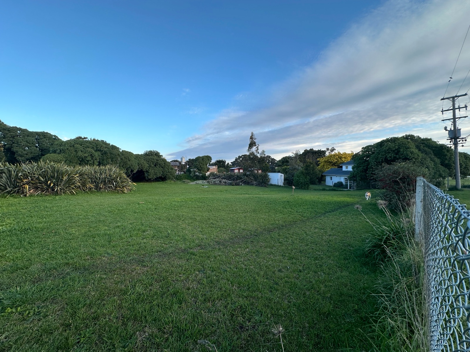 image 16