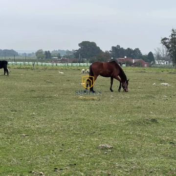 Chacra en venta de 35638m2 ubicado en Paso Espinosa