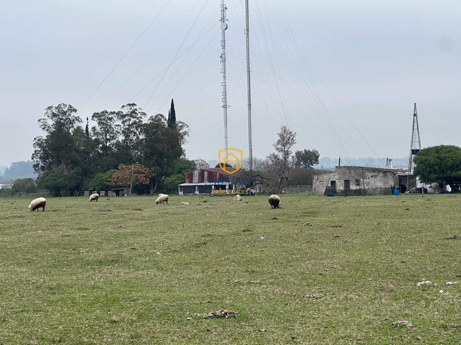 image 18