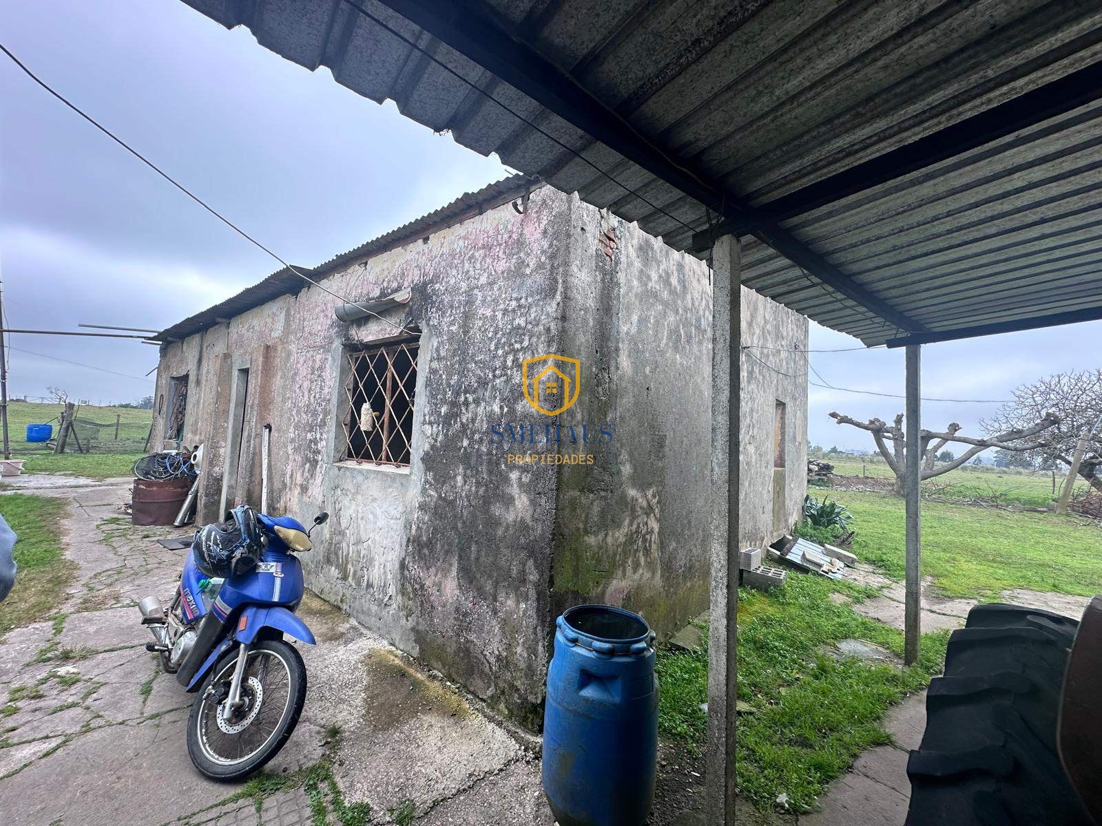 image 19