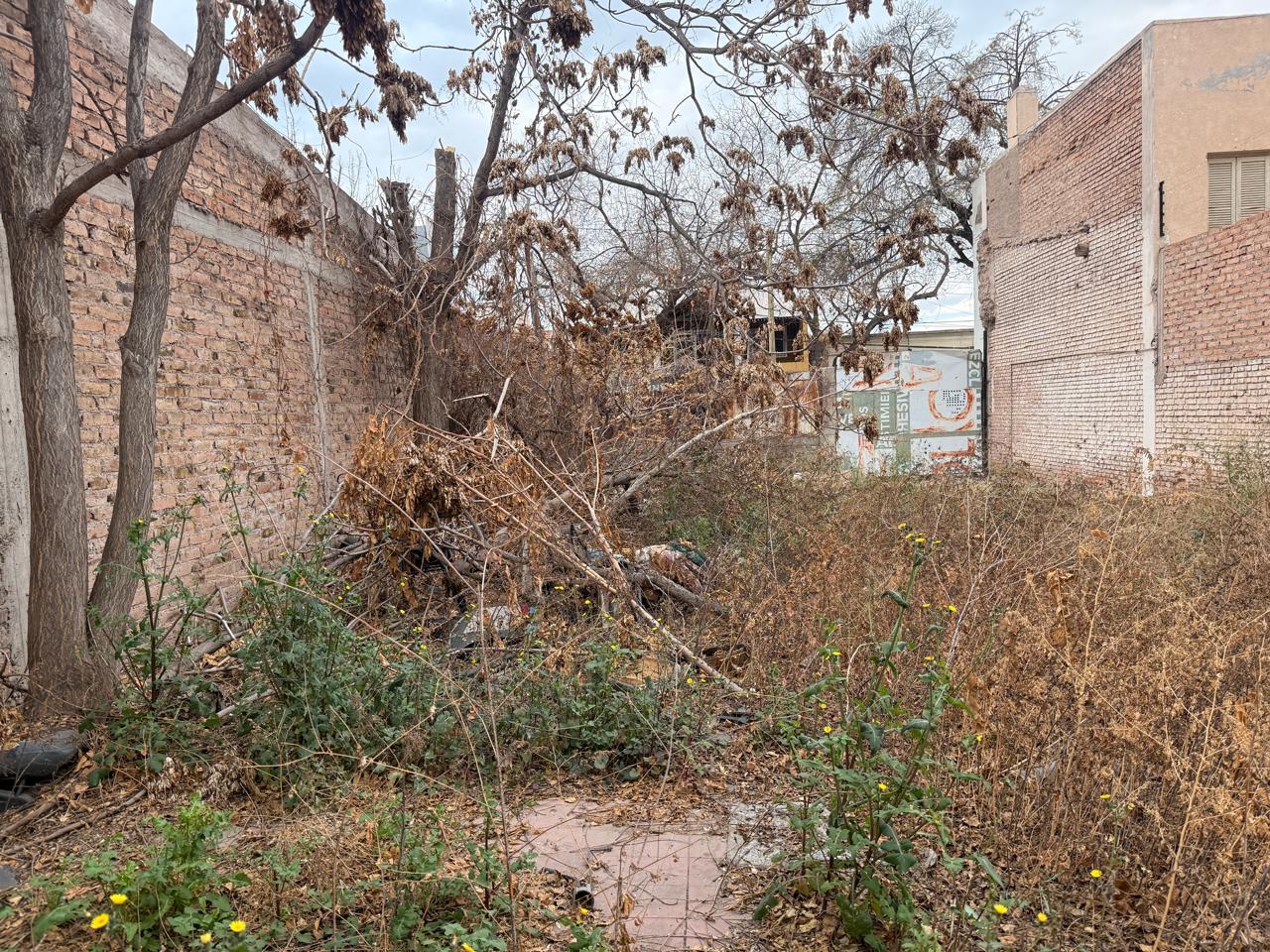 image 18