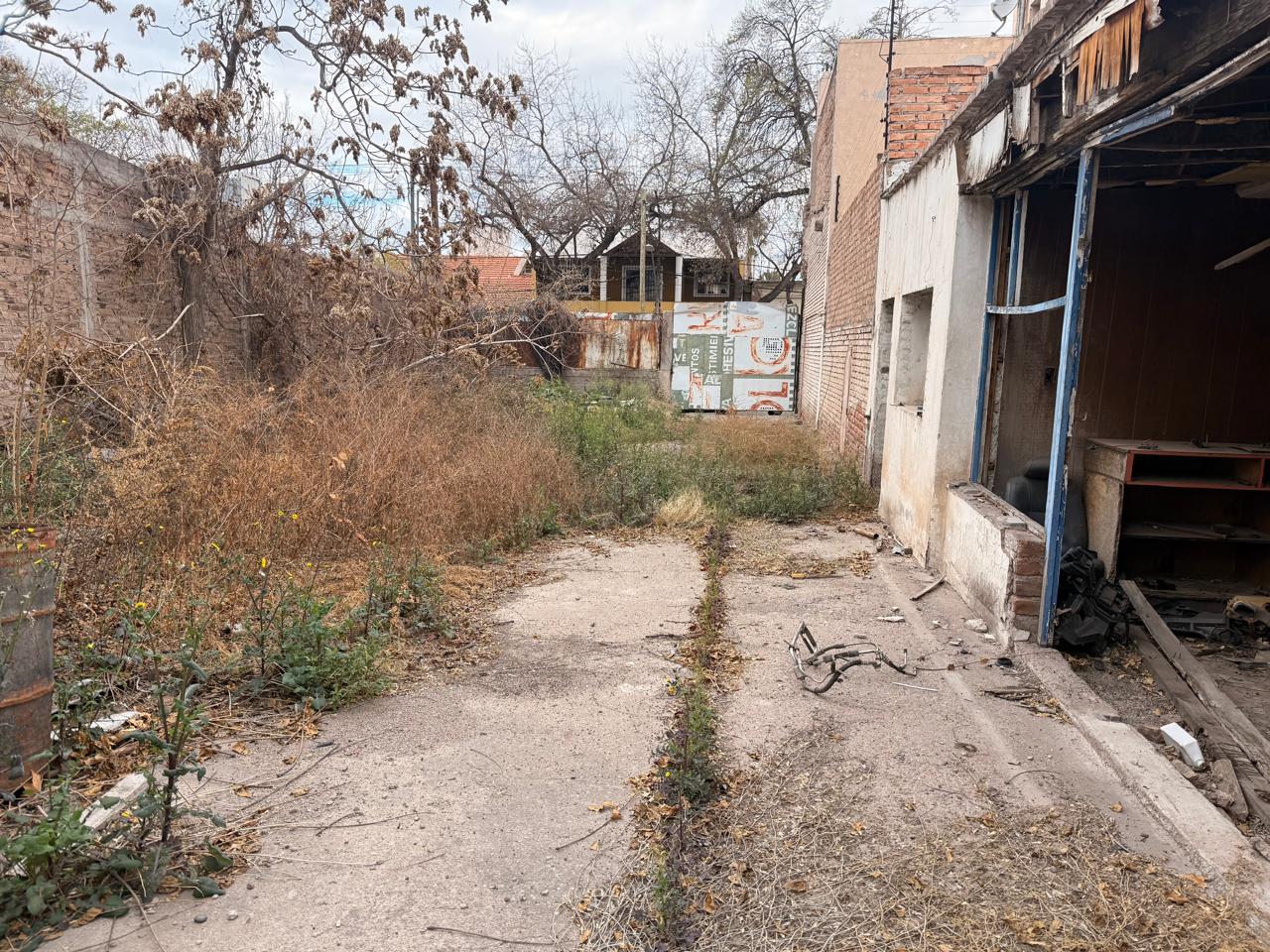 image 19