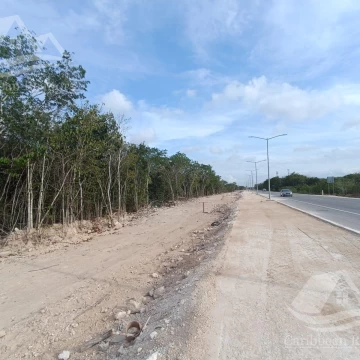 Terreno en Venta en Altai