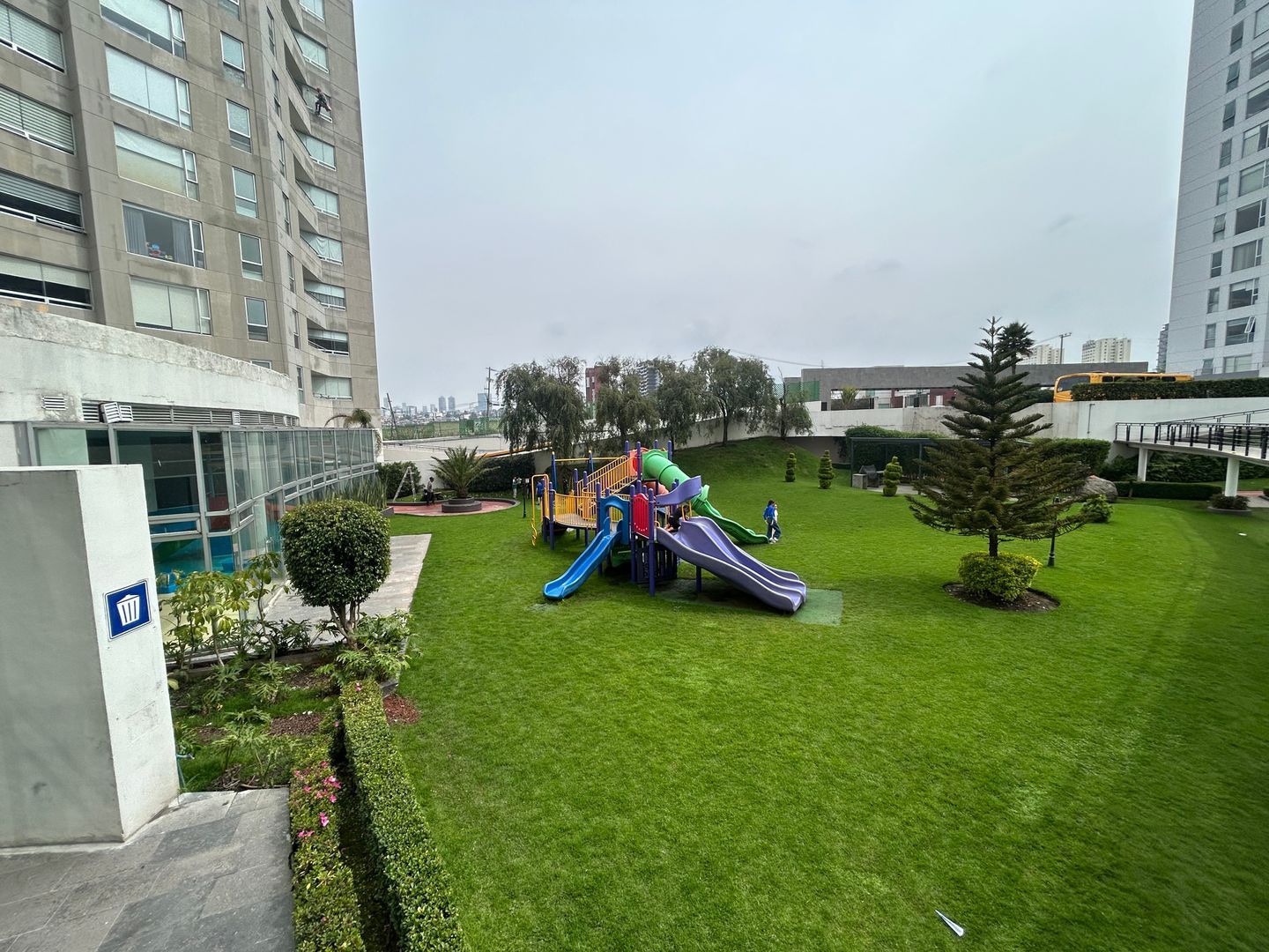 IMG_7512.jpeg
