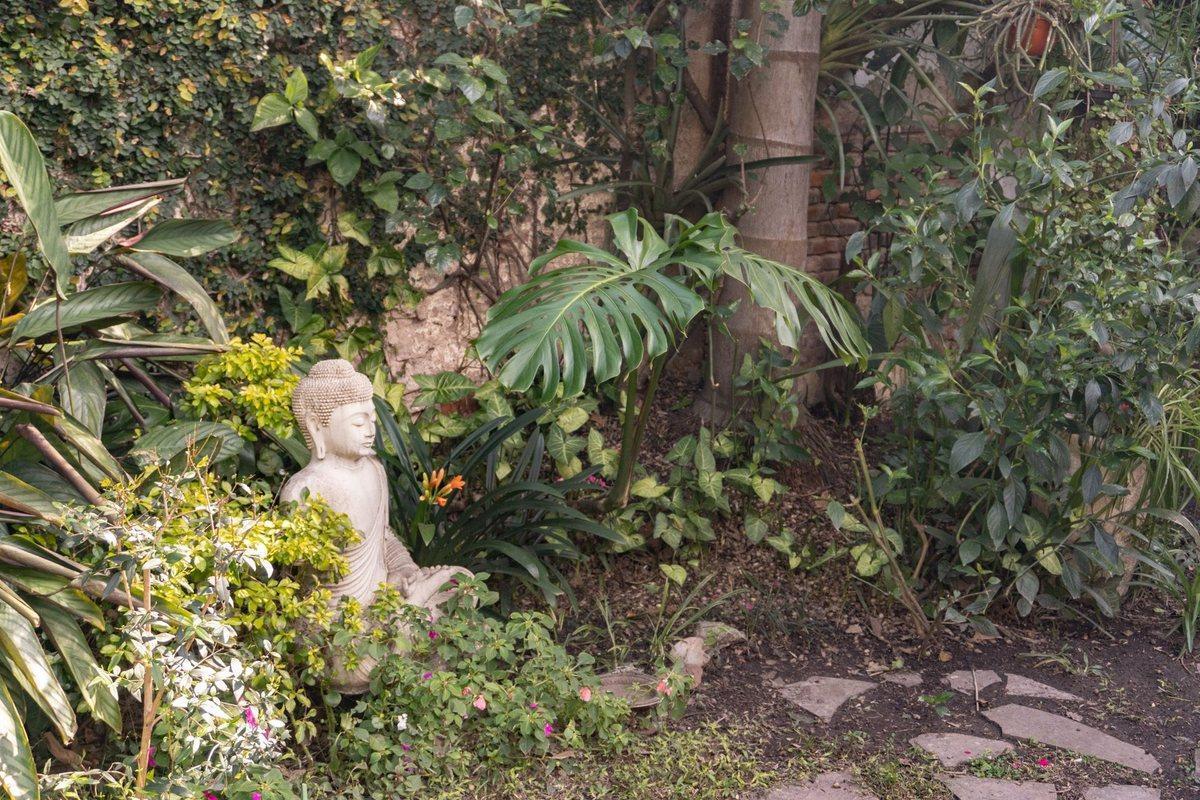 image 24