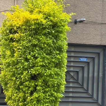 Departamento en venta en Américas Unidas