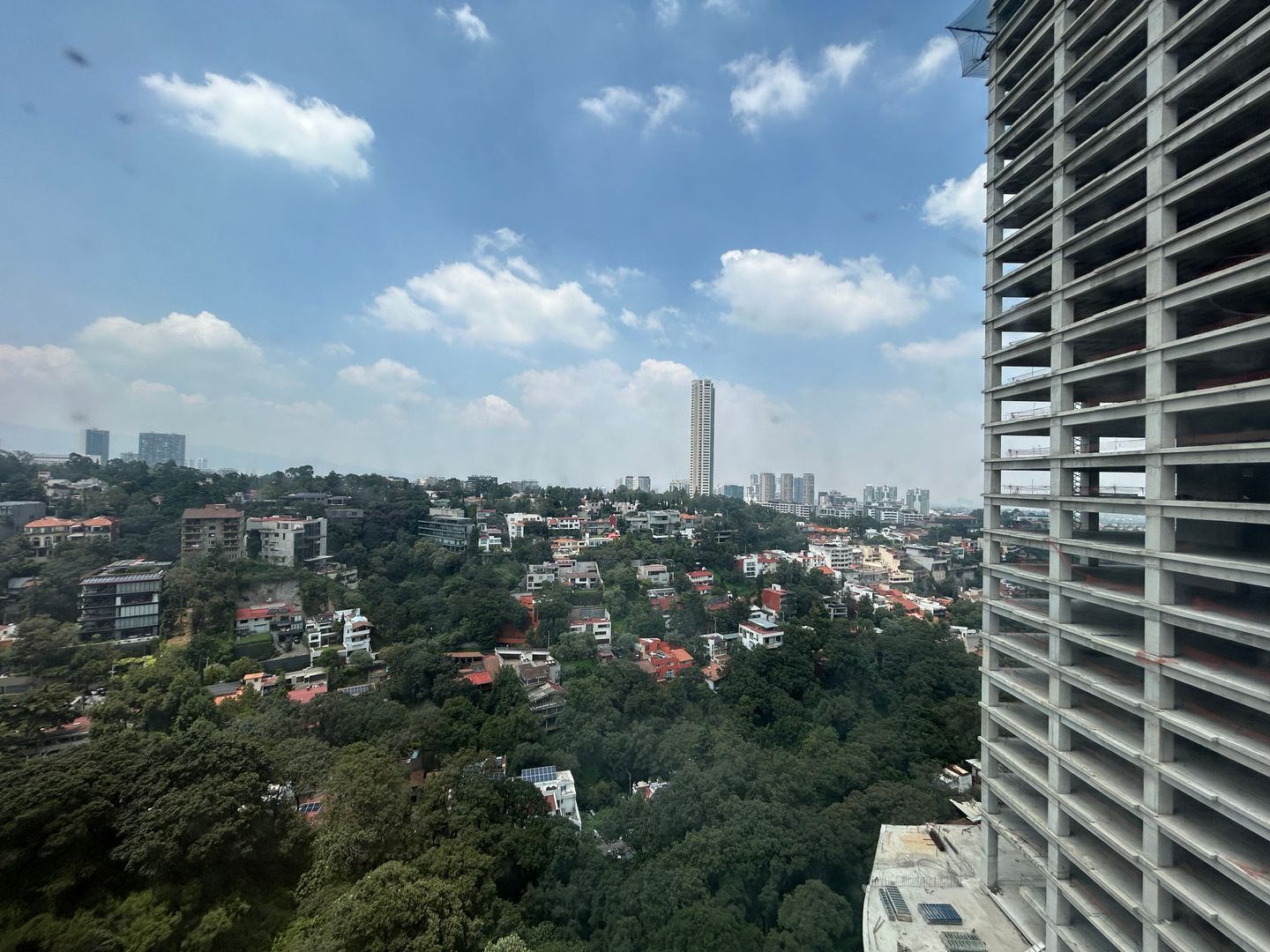 IMG_7528.jpeg