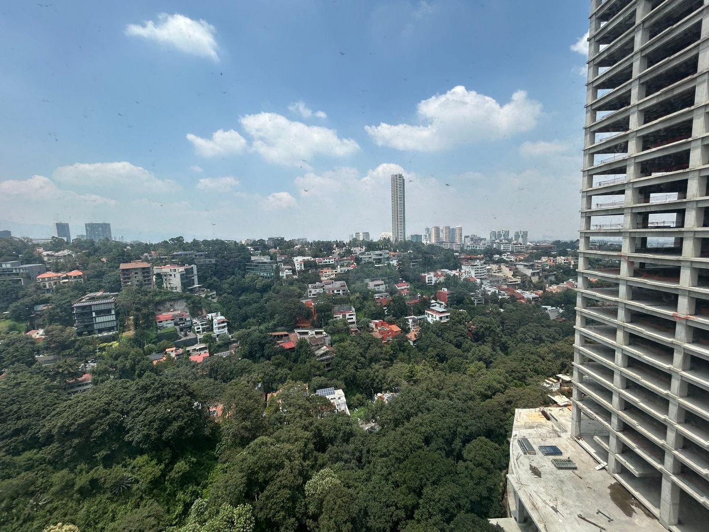 IMG_7522.jpeg