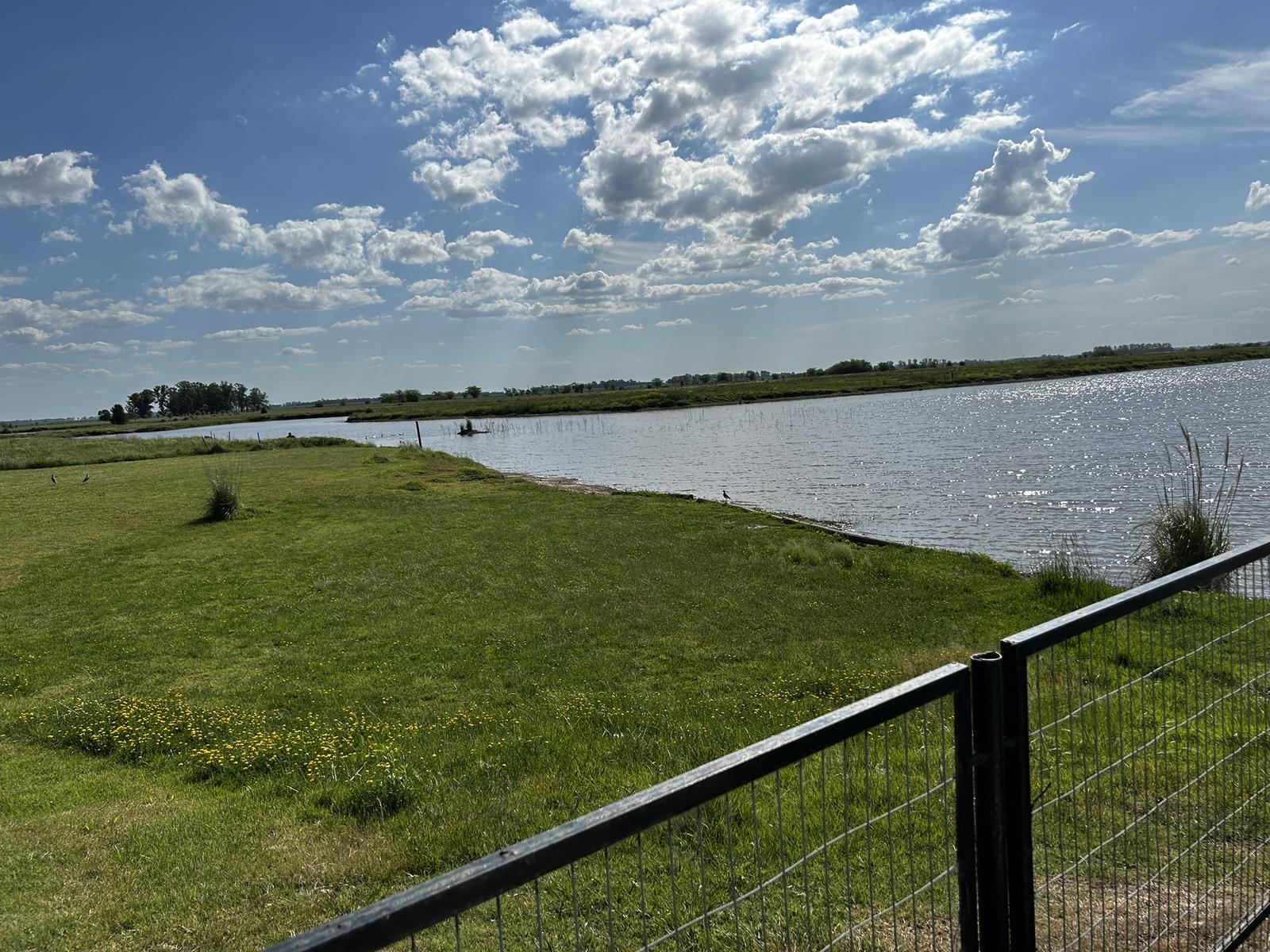 image 36