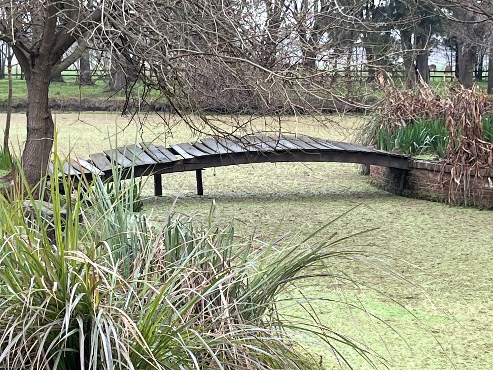 image 32