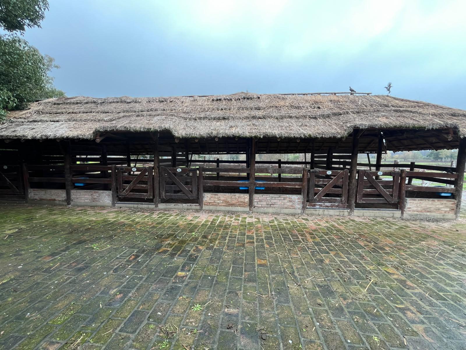 image 33