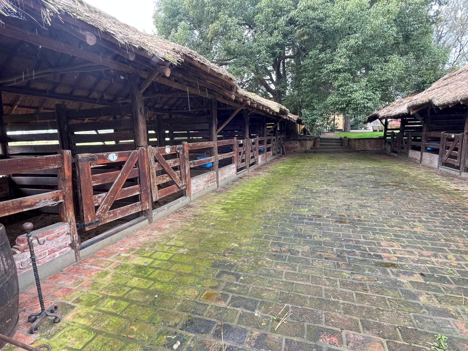 image 34