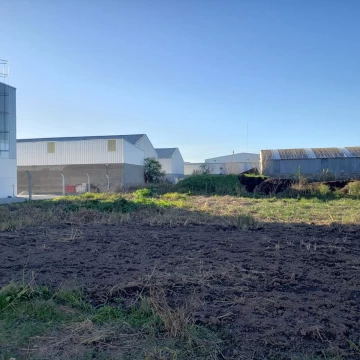 Lote en Venta 350 m2 - Área Industrial de Roldá