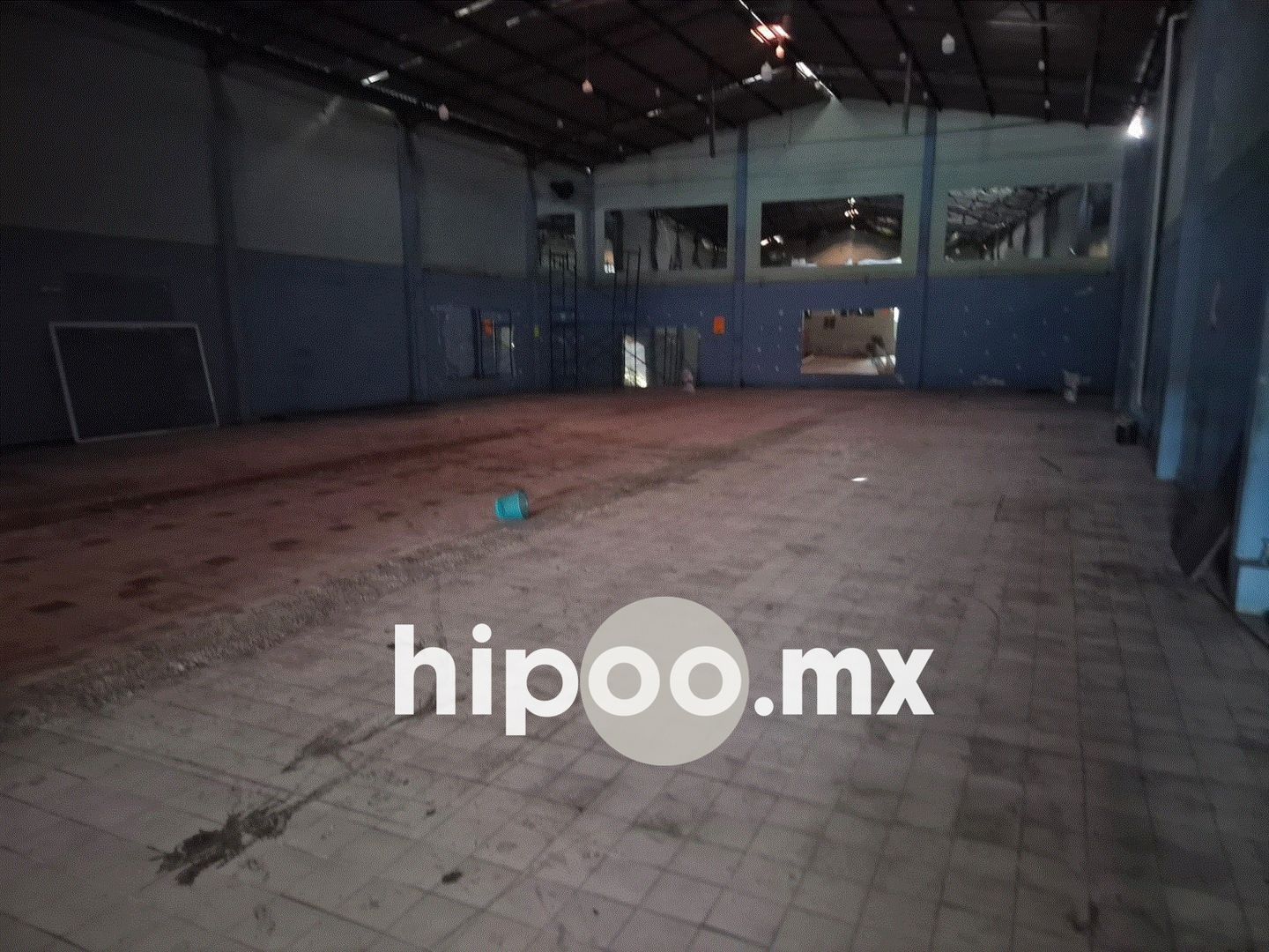 Area Libre 2.jpg
