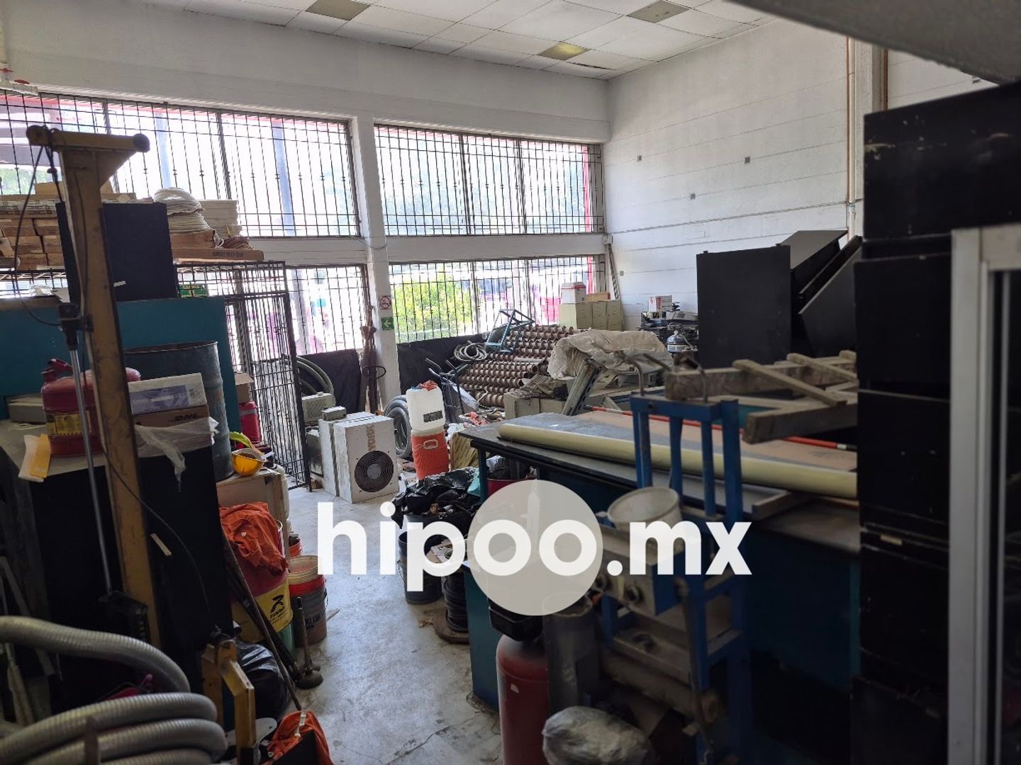 Area Exhibición 4.jpg