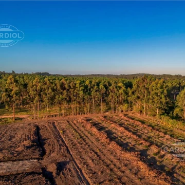 Terreno en  Lussich