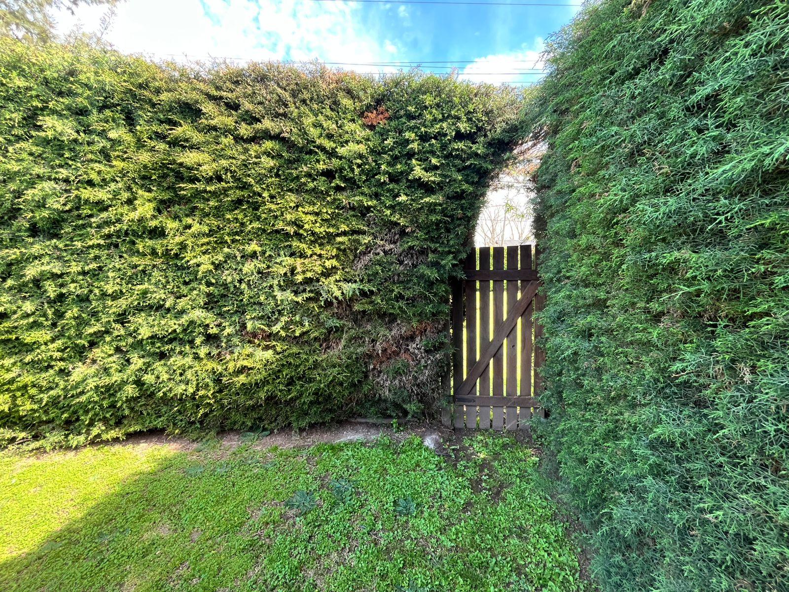 image 26
