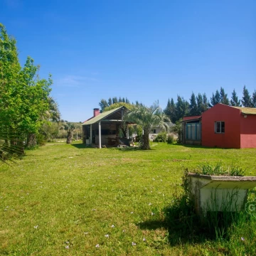 5 HA EN RUTA 39 | Chacra con importante infraestructura y casa