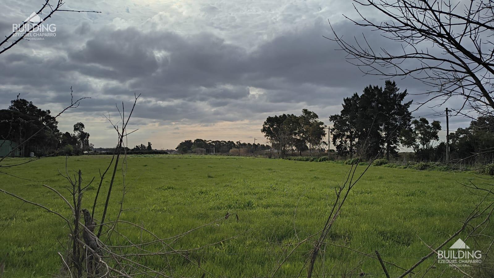 image 27