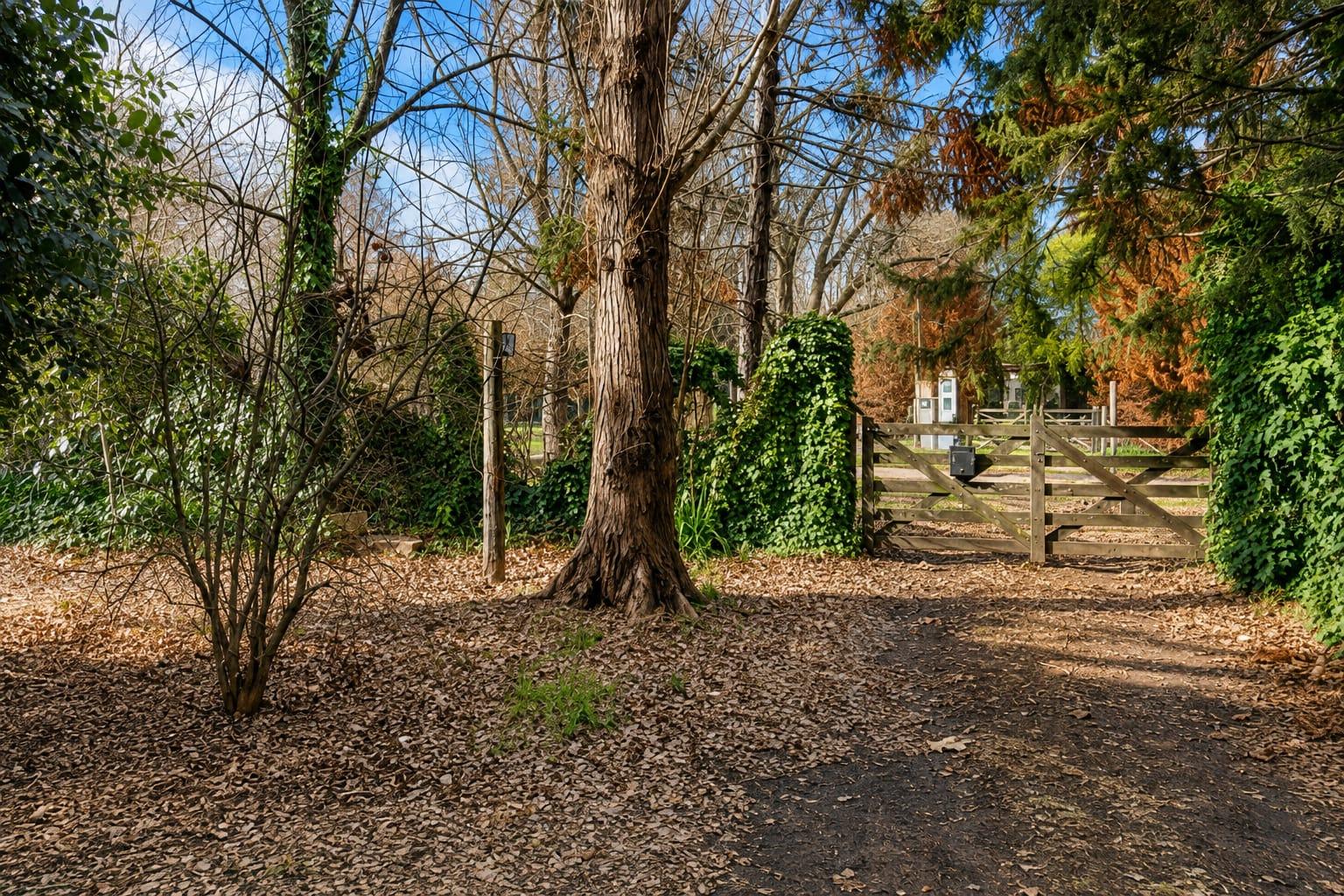 image 16