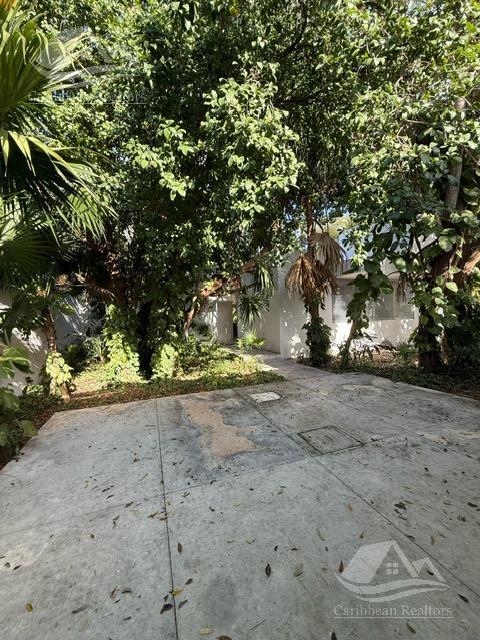 image 16