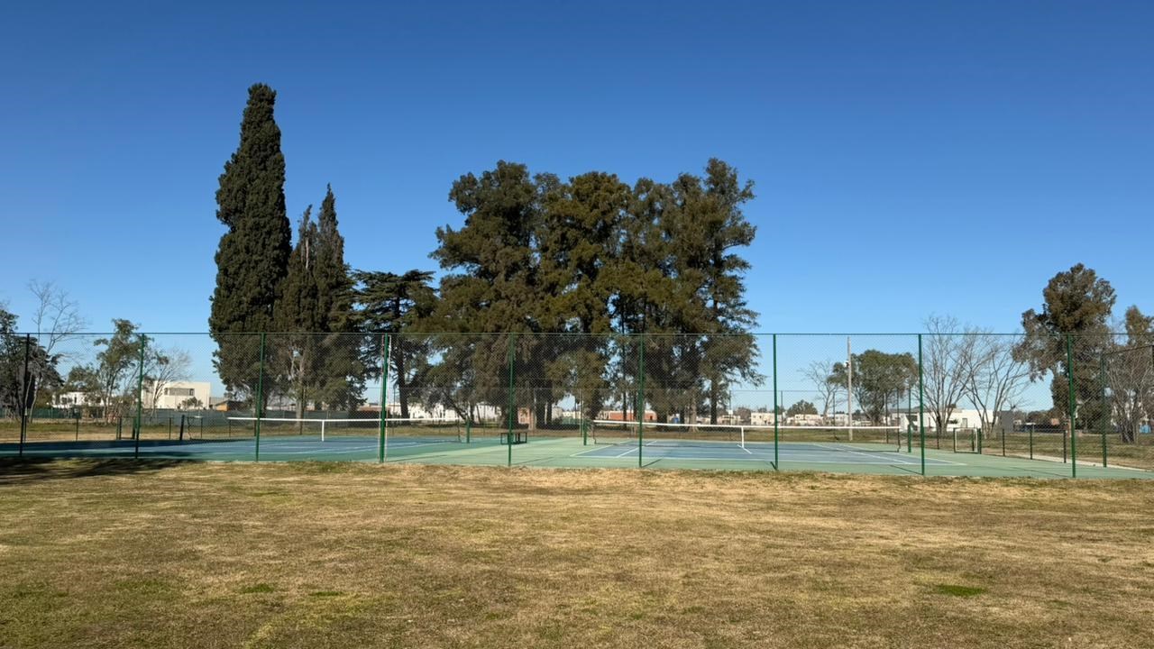 image 37