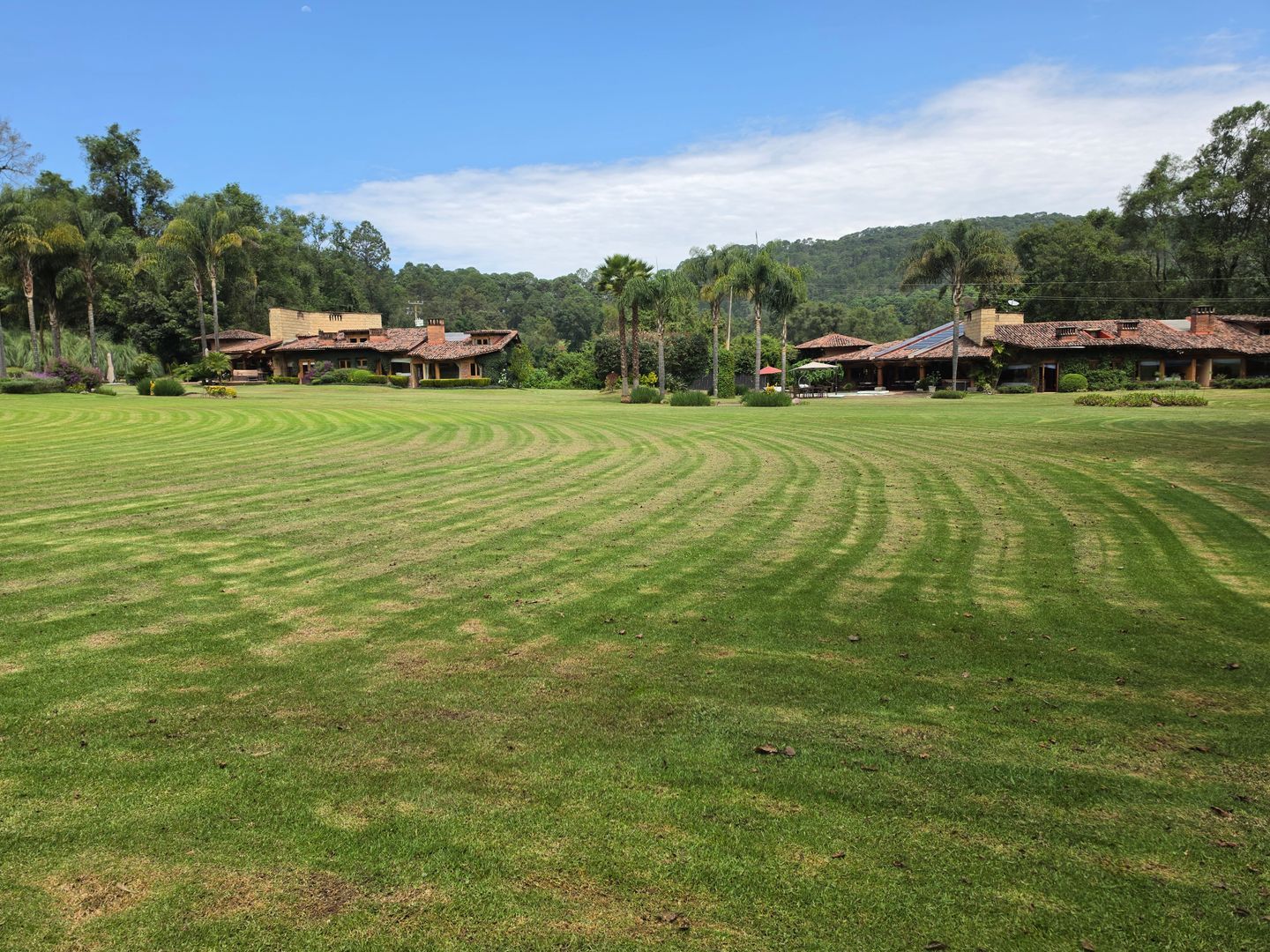 29991.jpg