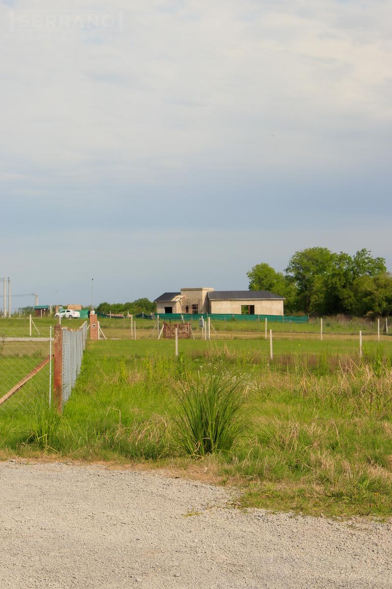 image 17