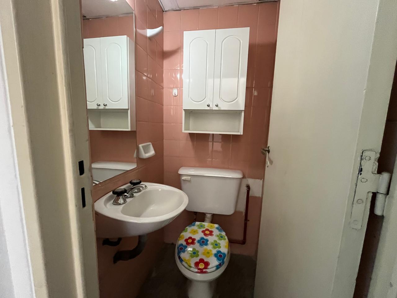 Baño de visita ( Toilette)