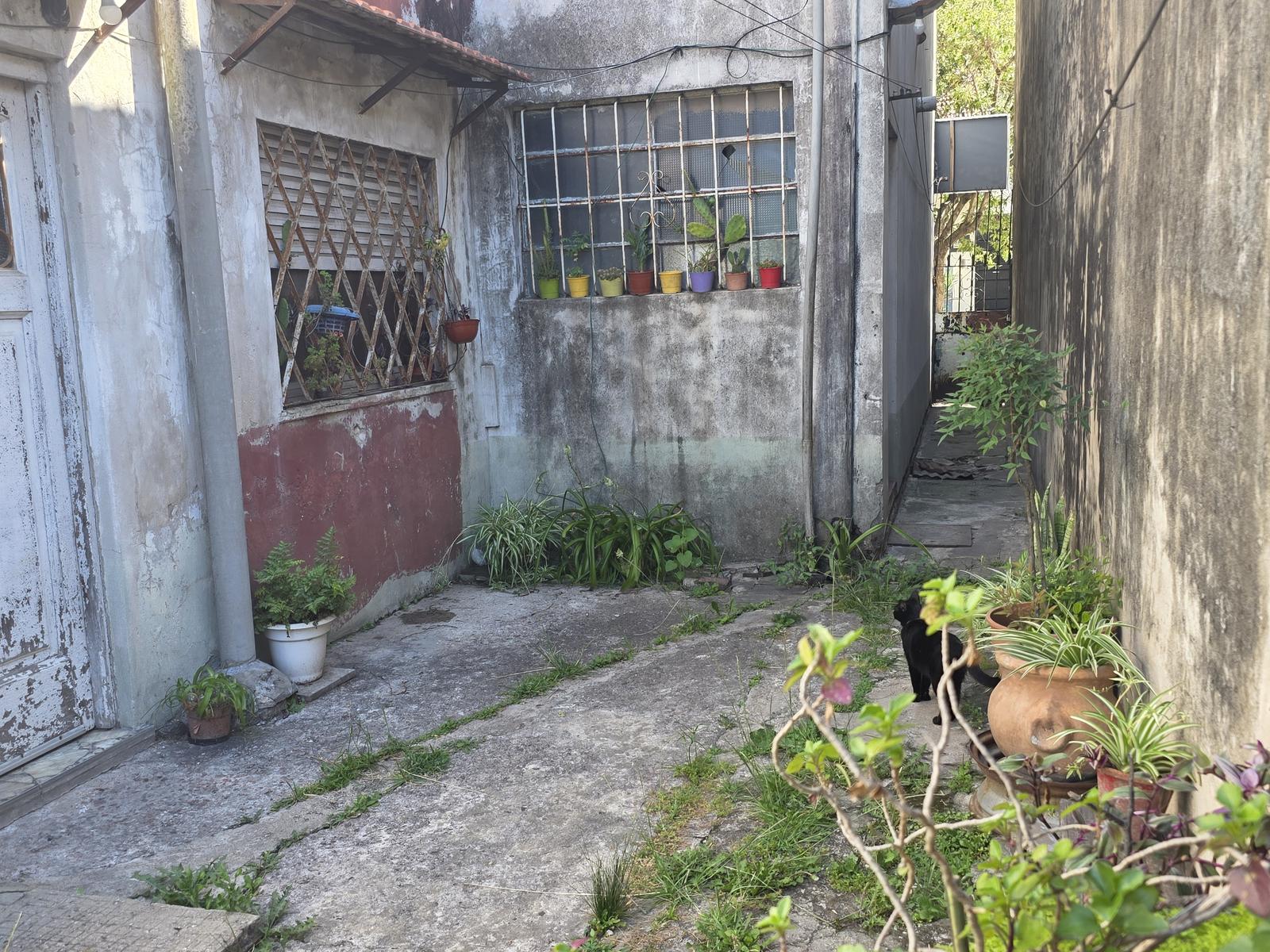 image 41