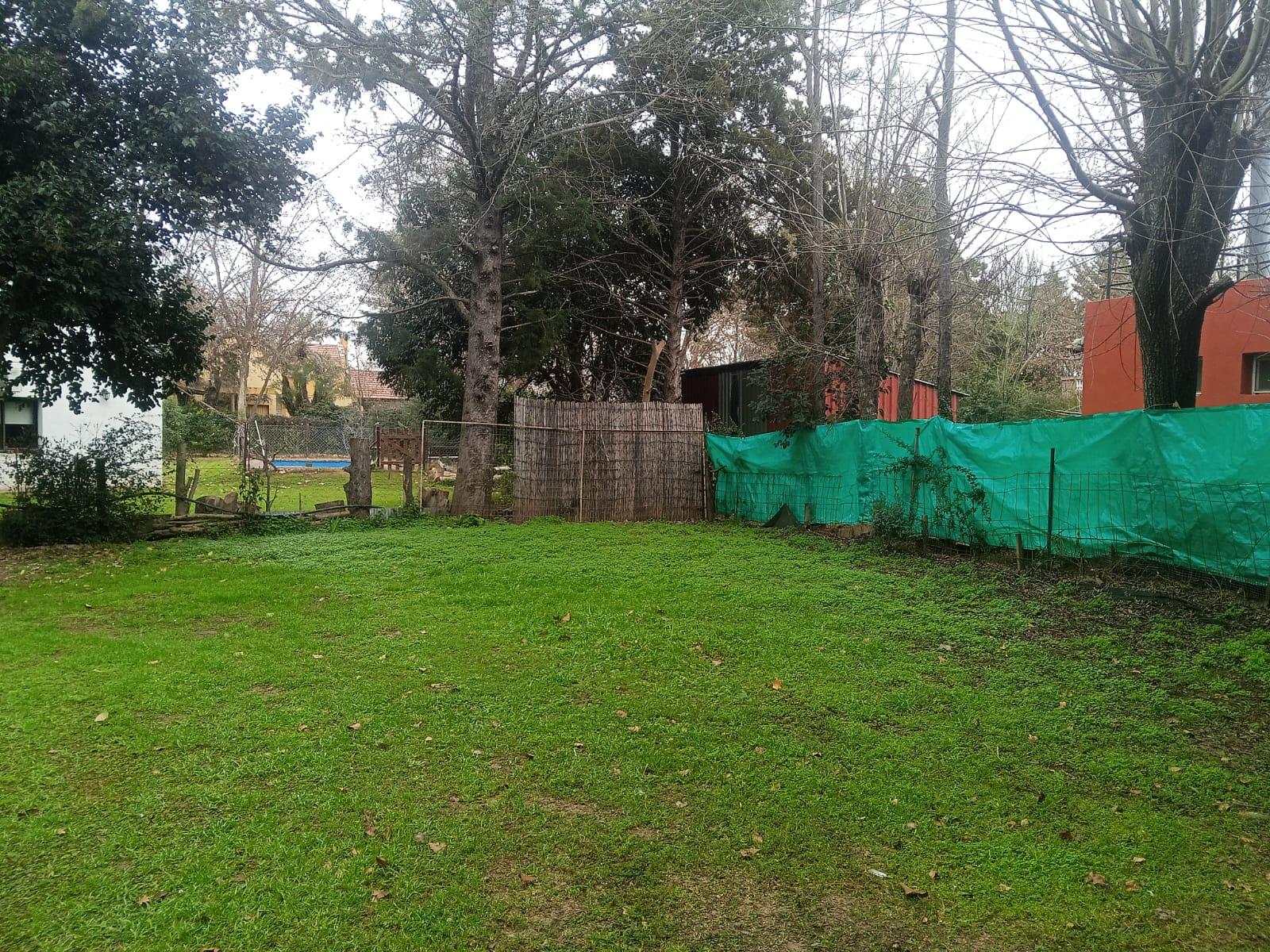 image 33