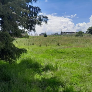 Terreno Comercial en venta en San Bartolomé Tlaltelulco  