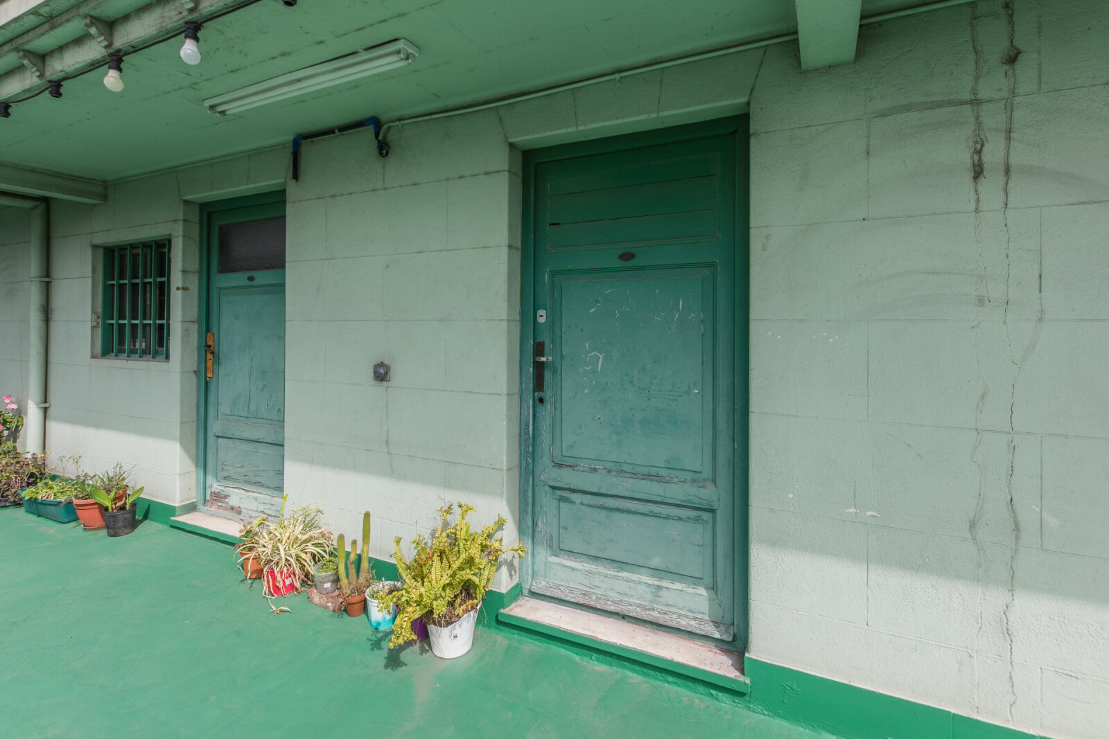 image 61