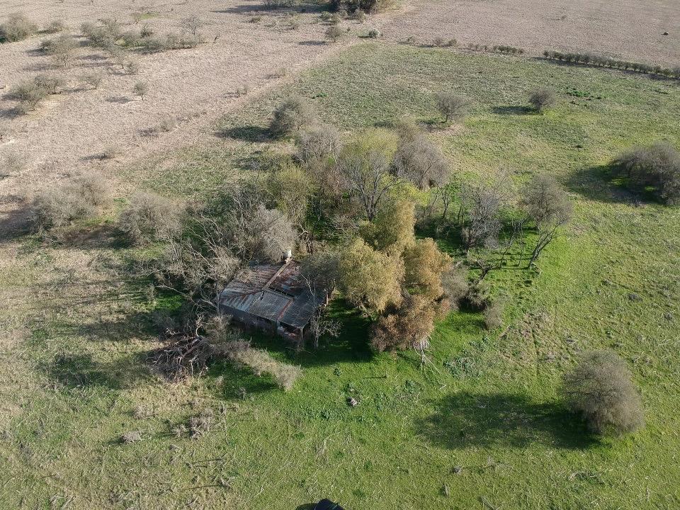 image 13