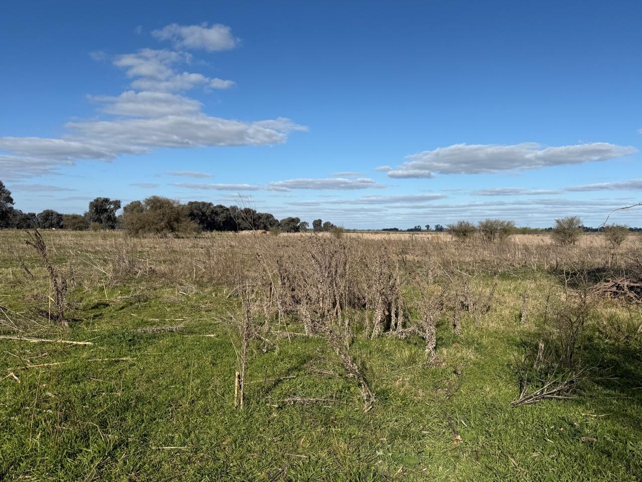 image 14
