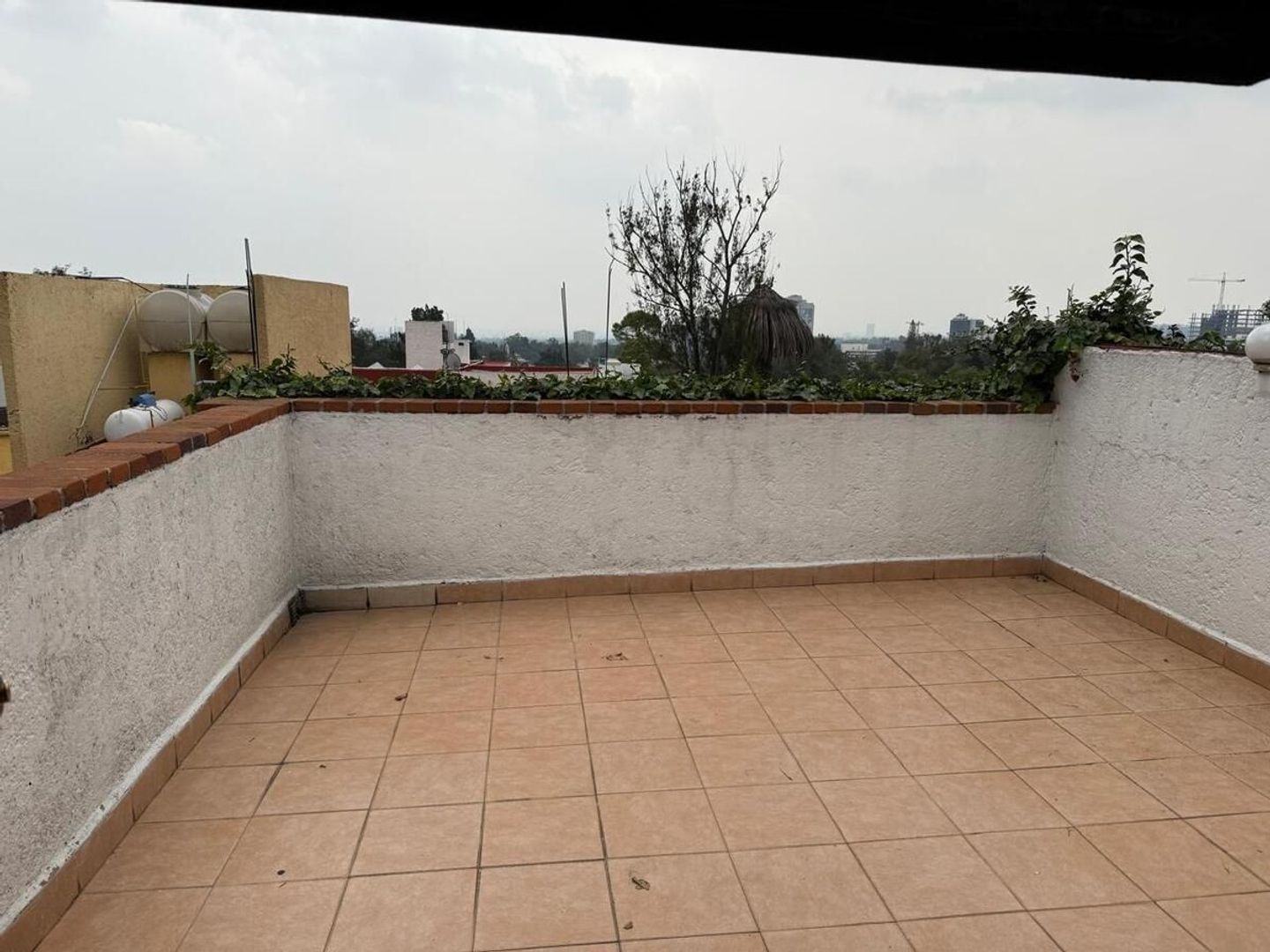 TERRAZA.jpeg