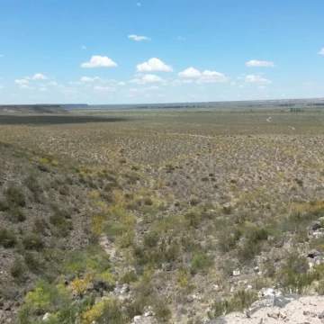 Campo 540 HA Costa Río Colorado, Mendoza. Para riego