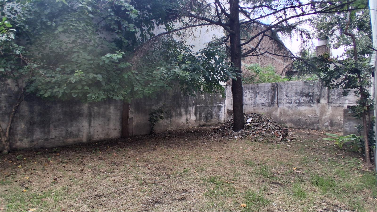 image 13