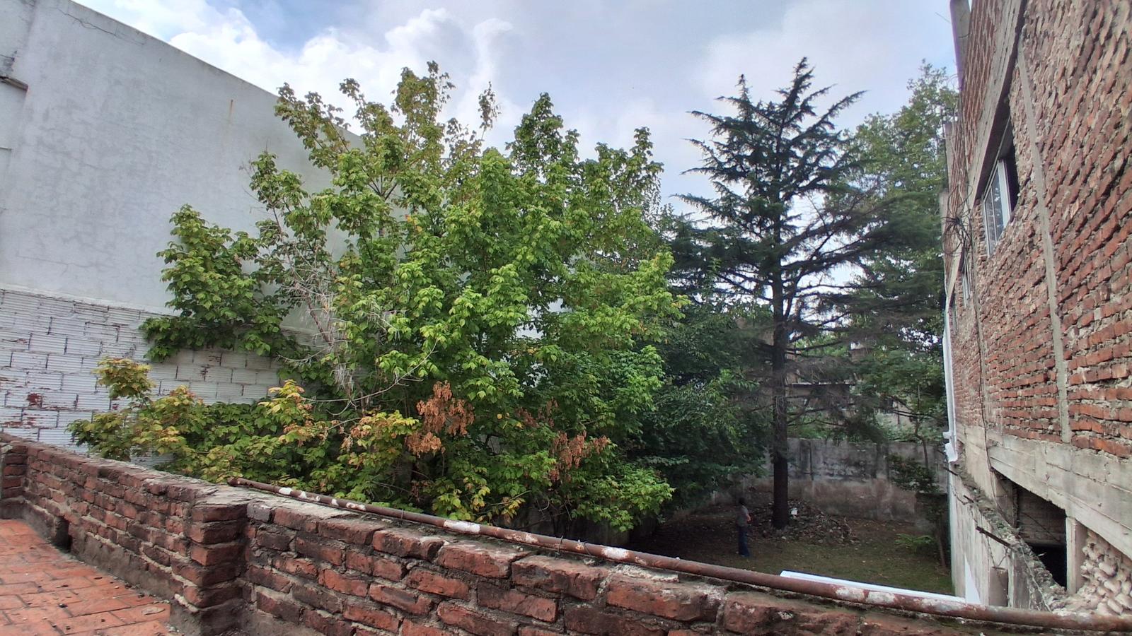 image 15