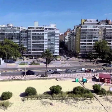 Venta Apartamento 1 Dormitorio en Pocitos
