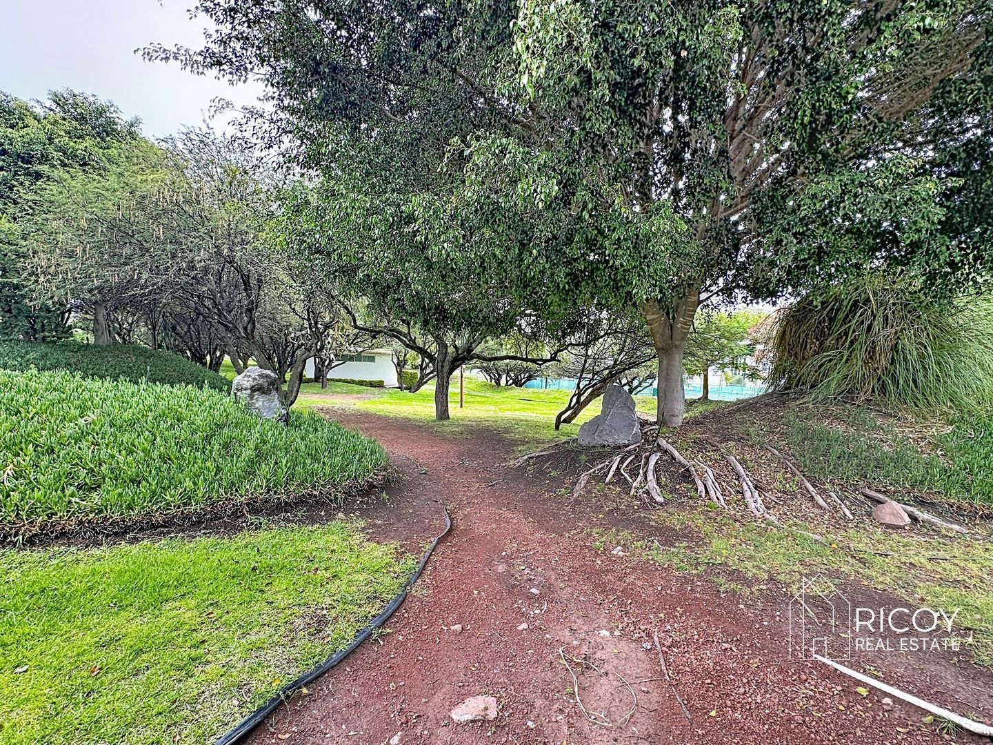 arrayanes-75_00041.jpg