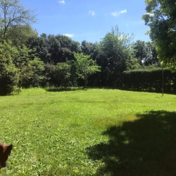 LOTE EN VENTA DE 3260M2 - APTO DESARROLLO - BENAVIDEZ