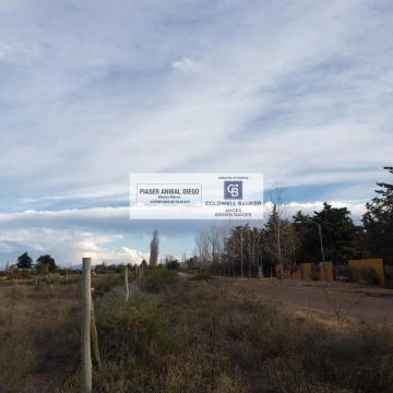 terreno. Las Paredes. 1 ha.